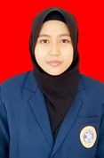 Baiq Naili Dewi Atika, M.Si.